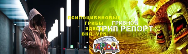крисы Армянск